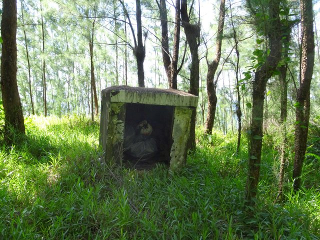 Des vestiges demeurent au milieu des filaos