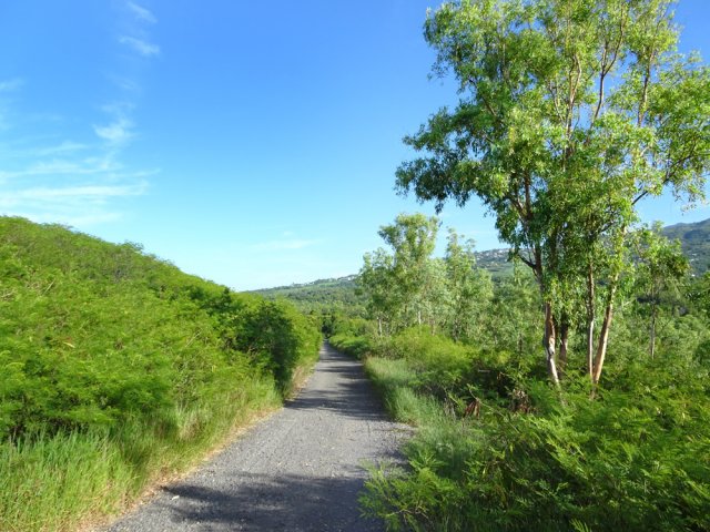 La piste de gravillons contournant le Gros Piton