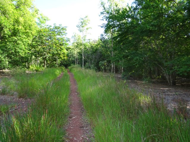 La piste semble peu fréquentée mais se suit sans problème