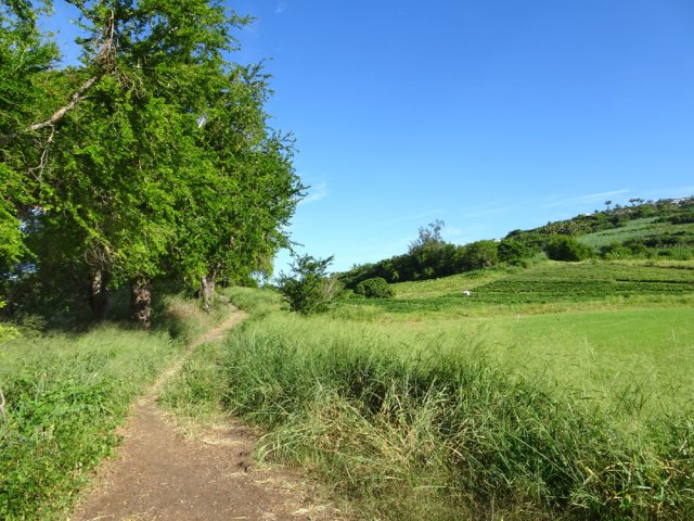 On se retrouve à longer de nouvelles prairies et des champs