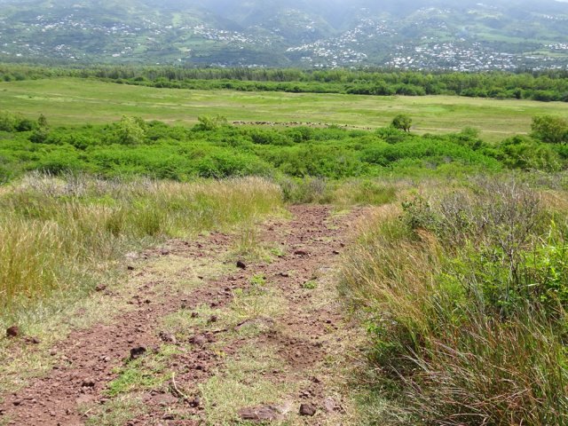 Courte grimpée sur le Piton Rouge afin de profiter des panoramas