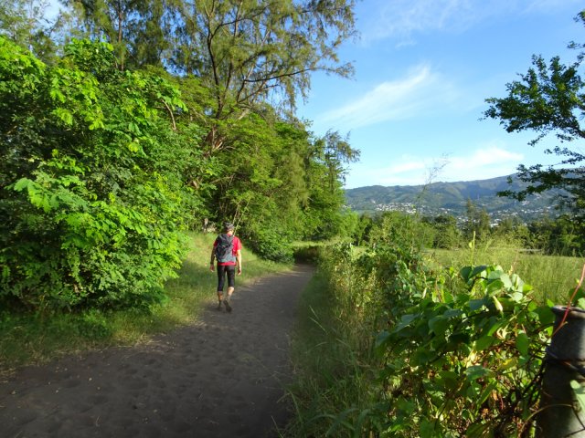 De plus en plus de sable sur le trajet à travers champs