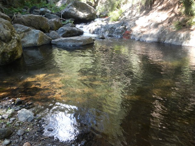 Quelques petits bassins d'eau claire peu faits pour la baignade