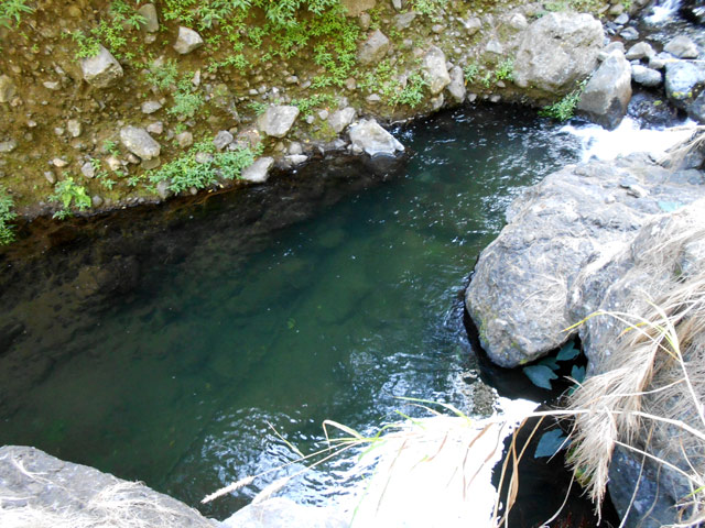 Petits bassins souvent impropres à la baignade