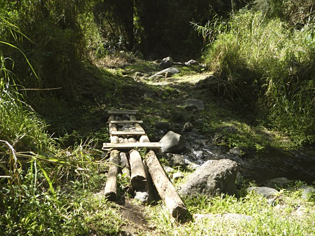 Passerelle sommaire sur minuscule ravine