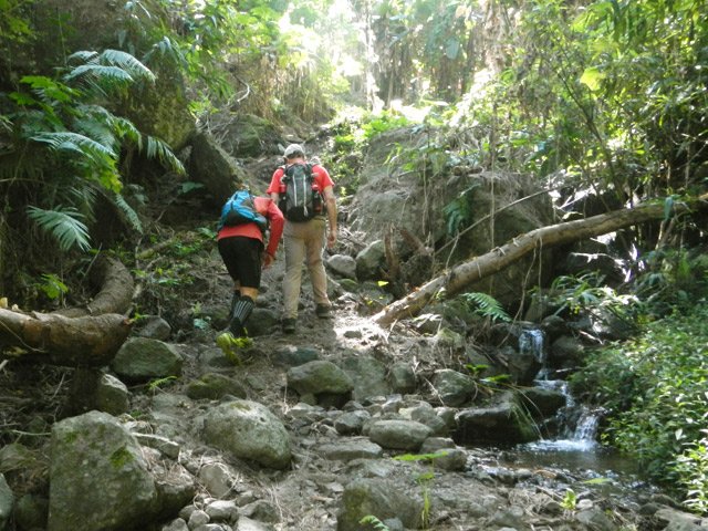 Le remontée vers Palmiste Rouge en longeant une mini ravine