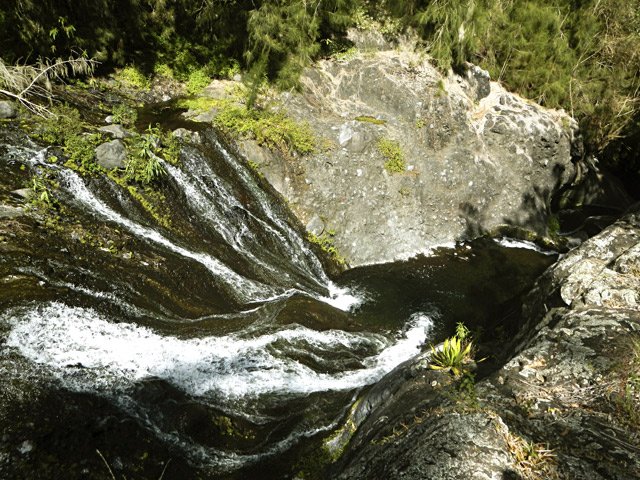 A partir du premier bassin, on ne les comptera plus