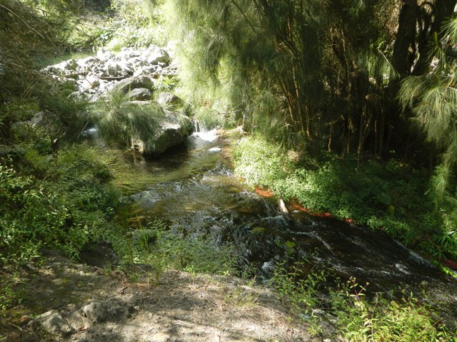 Le sentier arrive au bord de la rivière