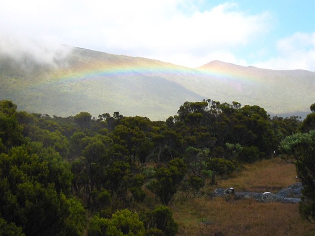 La Savane Cimetière sous une petite ondée