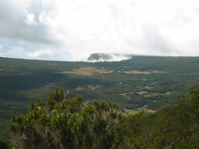 Panorama large de la Savane Cimetière