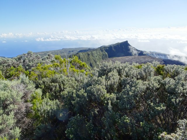 Le Nez Coupé de Sainte-Rose à mi-parcours