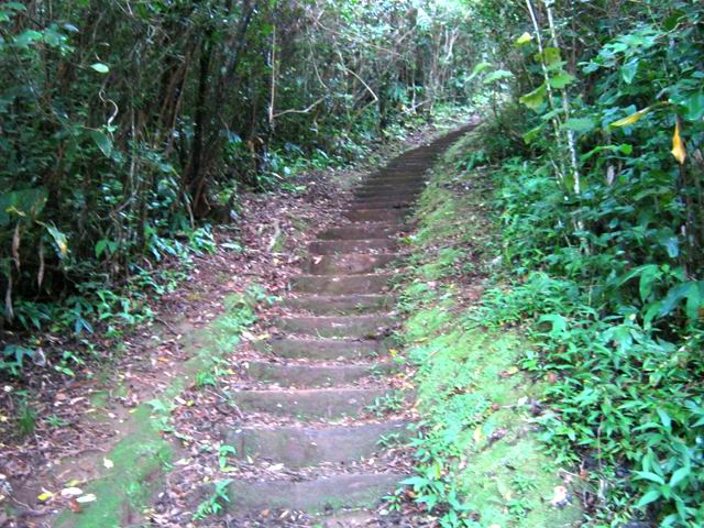 Le sentier des Ouvriers dans une partie en escaliers