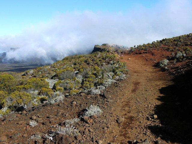 Le sentier menant au Piton de Bert