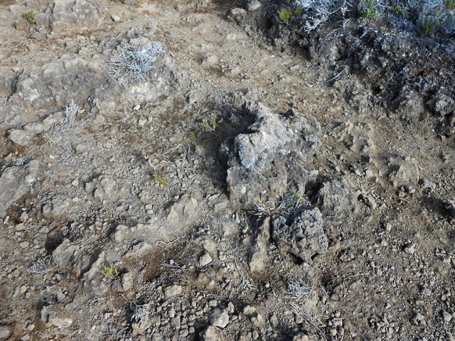 Une idée du sentier jusqu'à la Plaine des Sables