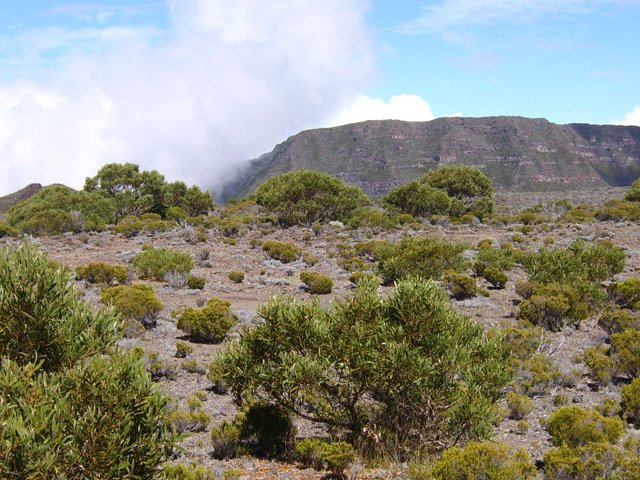 On voit de mieux en mieux le Morne langevin