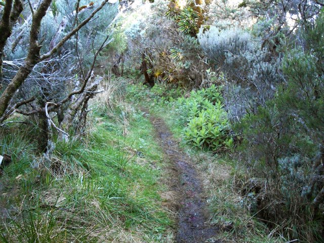 Une partie plate et peu boueuse après le Nez Coupé du Tremblet