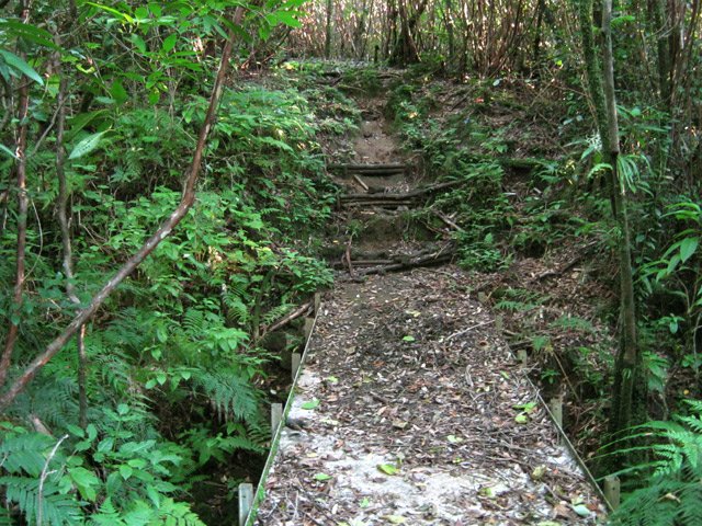 Une douzaine de petites passerelles en aluminium à franchir durant la montée