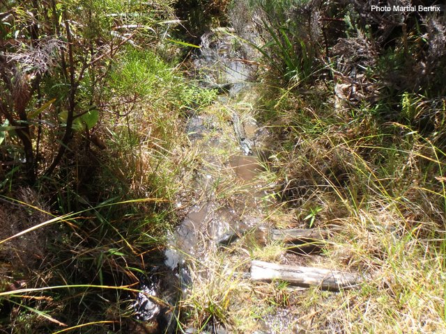 Les zones boueuses le restent très longtemps