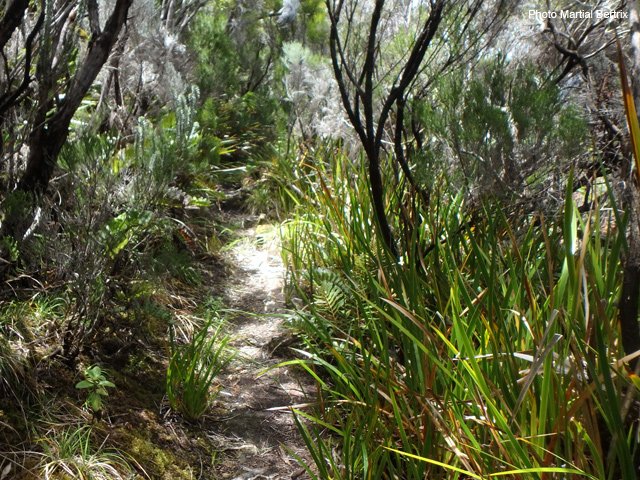 En bordure de rempart, on utilise de très belles portions de sentier