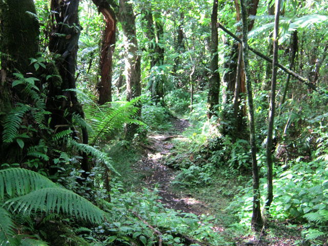 Une idée du sentier au départ