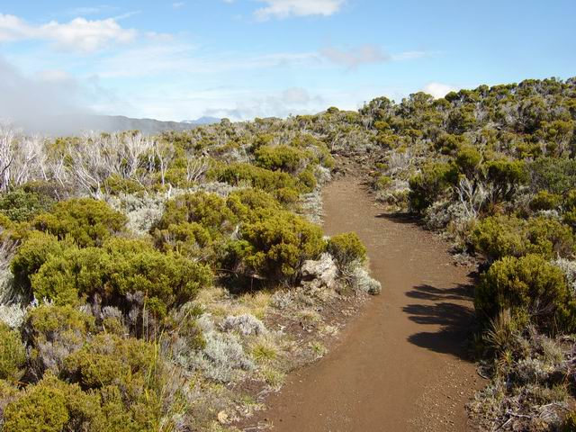 Le sentier, de plus en plus beau, à partir du Piton de Bert