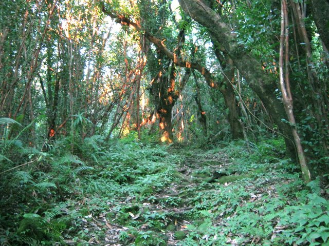La montée est d'abord facile en suivant la ravine