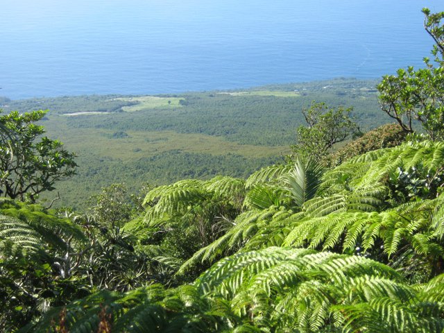 Point de vue portant jusqu'à l'océan
