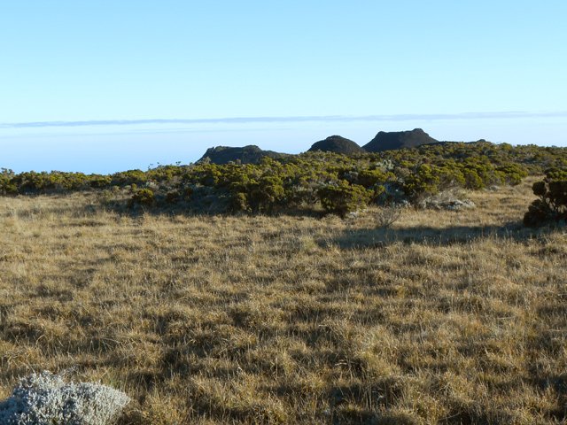 Les prairies entourant les Puys Ramond