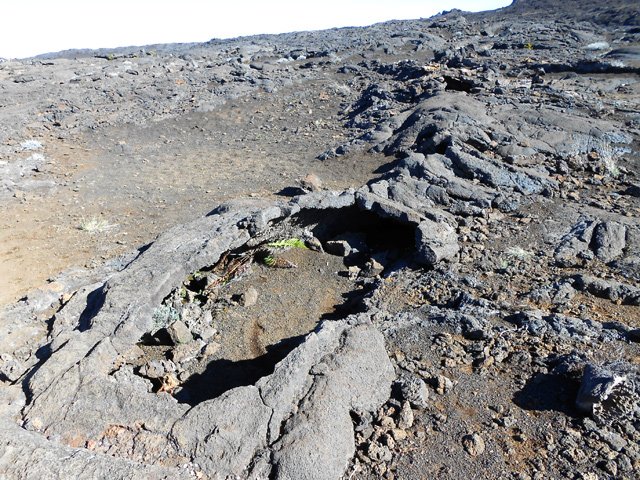Le sentier frôle des petits tunnels de lave