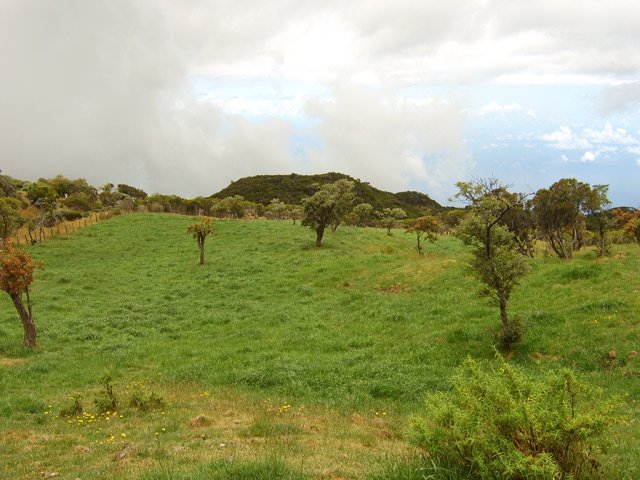 Les prairies le long du sentier de raccourci