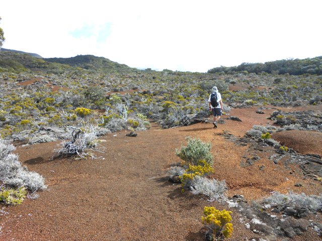 Portions quasiment plates et faciles sur le sentier de retour