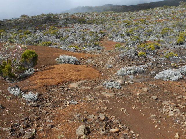 Le terrain est parfois désertique