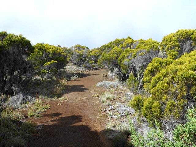 D'autres tronçons sont très bien marqués dans les branles verts
