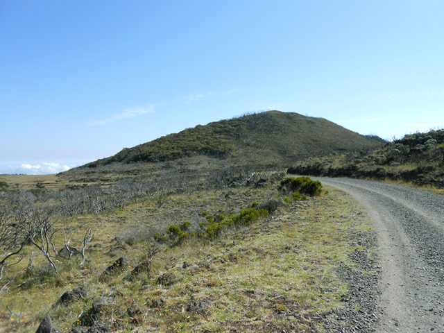 Le départ de la randonnée et la piste forestière en direction du Piton de Caille