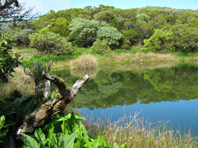La halte au lac du Piton de l'Eau est toujours aussi agréable