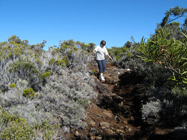 Le sentier est plus encombré que la piste mais jamais difficile
