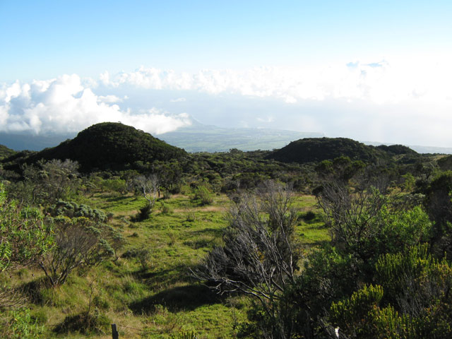 Vue sur l'océan vers Saint-Benoît depuis les premières prairies