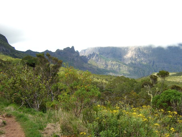 Une idée de la végétation durant la descente