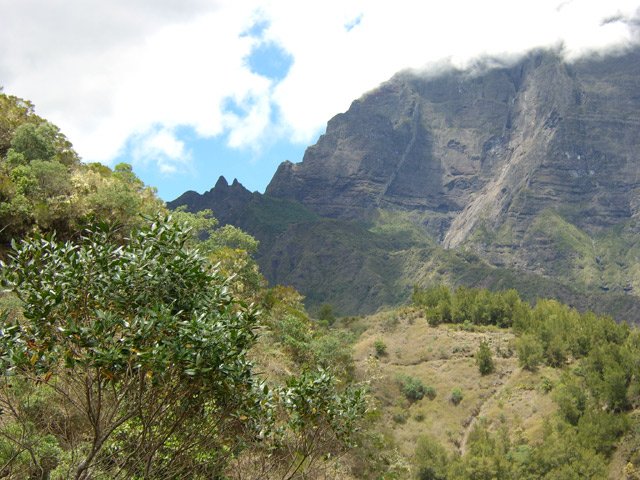 Le sentier dans les filaos qu'on enpruntera dans quelques minutes