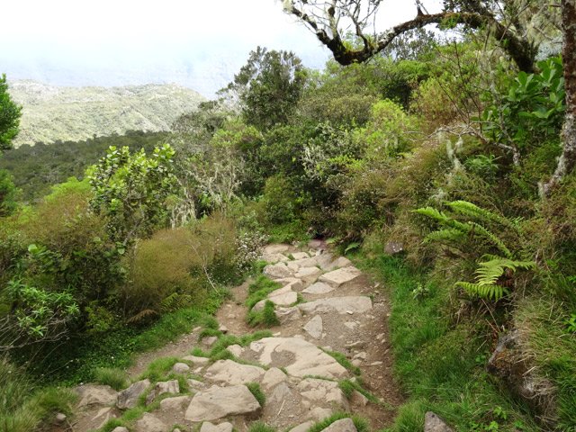 Marches, parfois hautes, réalisées en pierres plates