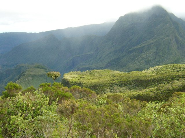 Le plateau entre le Bras Bémale et la Ravine Savon depuis Bord Martin