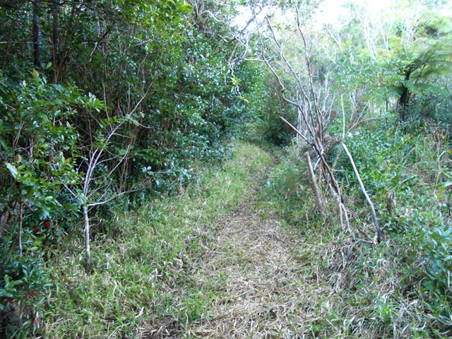 Sentier dans la montée après l'école de Jacques Payet