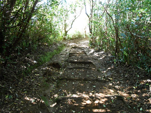 Même type de sentier pour se rendre au village de Jacques Payet