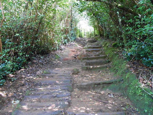 Tout est fait pour éviter la boue