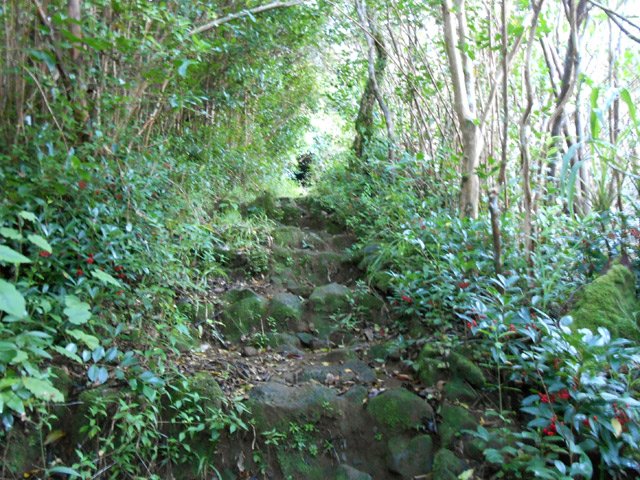 Des restes de beaux sentier en escalier