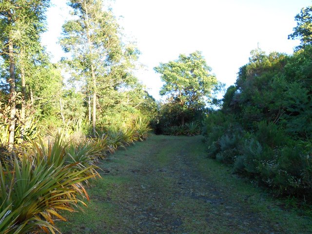 Arrivée à la piste de la ligne des 900