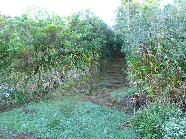 On quitte la piste pour continuer sur le sentier