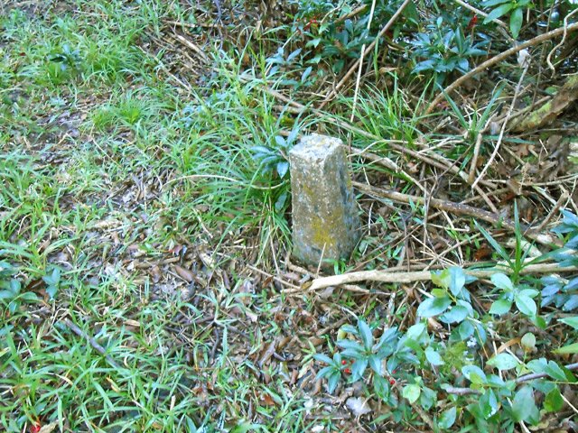 Anciennes traces de bornage