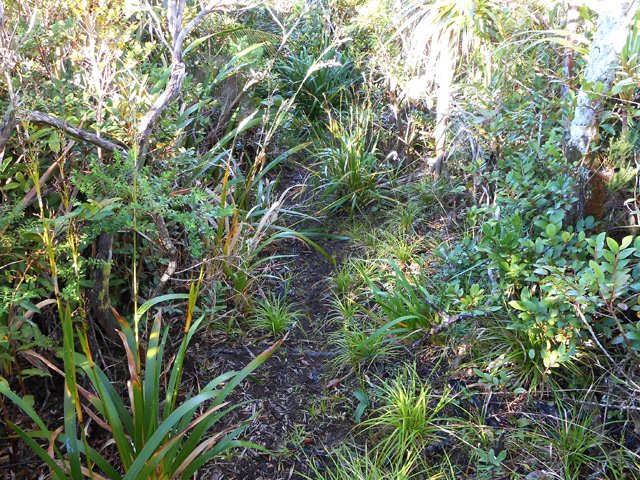 Sentier impossible à perdre de vue