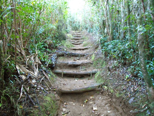 La terre est glissante entre les marches